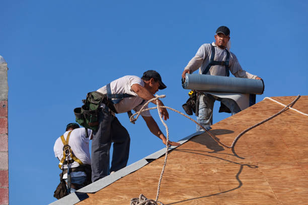 Best New Roof Installation  in Middleport, NY